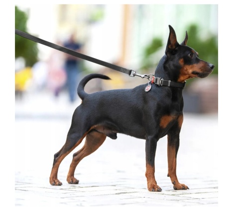 Smycz dla psa wodoodporna czarna L/XXL 183cm 2,5 cm. szeroka WAUDOG